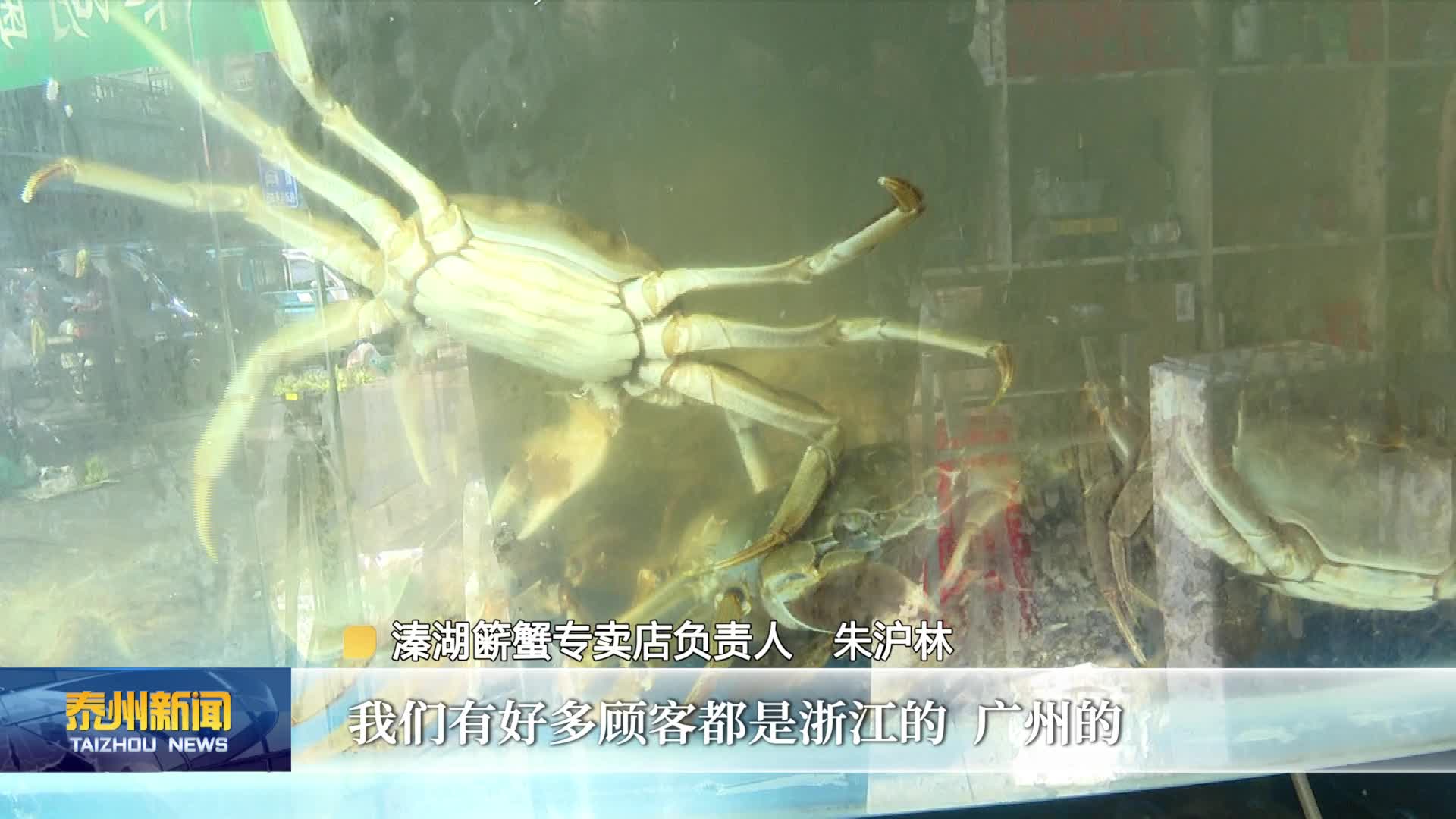 姜堰：金秋簖蟹肥美 旺季销售繁忙